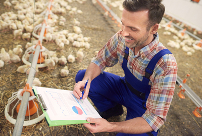 A Complete Guide to Using a Farm Financial Model Excel Template